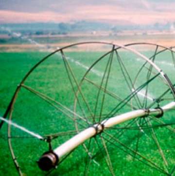 Irrigation and Drainage